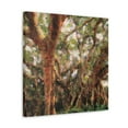 thumbnail image 2 of Banyan Tree Brilliance - Canvas, 2 of 10