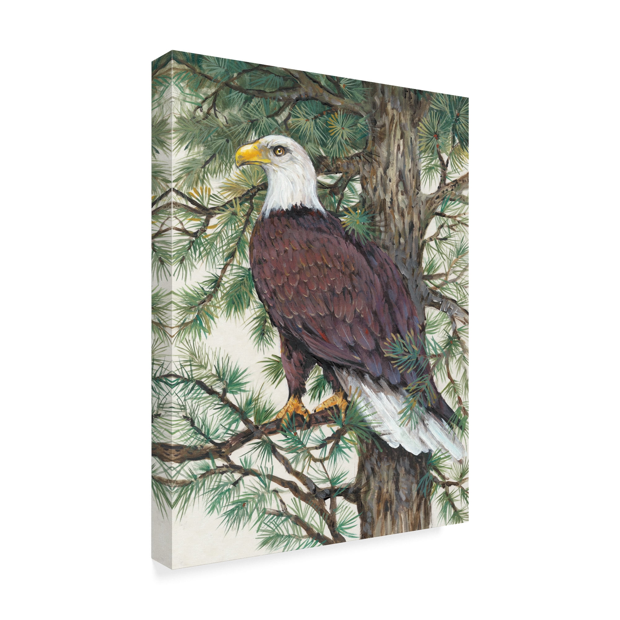 Trademark Fine Art 'Eagle in the Pine' Canvas Art by Tim OToole