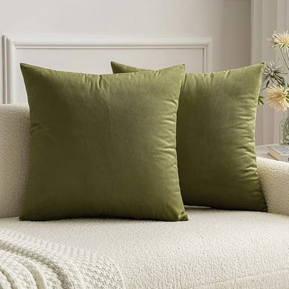 Wanhoo Pack of 2 Olive Green Pillow Covers 20x20 Inch Decorative Velvet Throw Pillow Covers Modern Soft Couch Throw Pillows Farmhouse Home Decor for Spring Sofa Bedroom Living Room