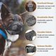 thumbnail image 2 of Pet Dog Muzzles Adjustable Breathable Dog Mouth Cover Anti Bark Bite Mesh Dogs Mouth Muzzle Mask, 2 of 5