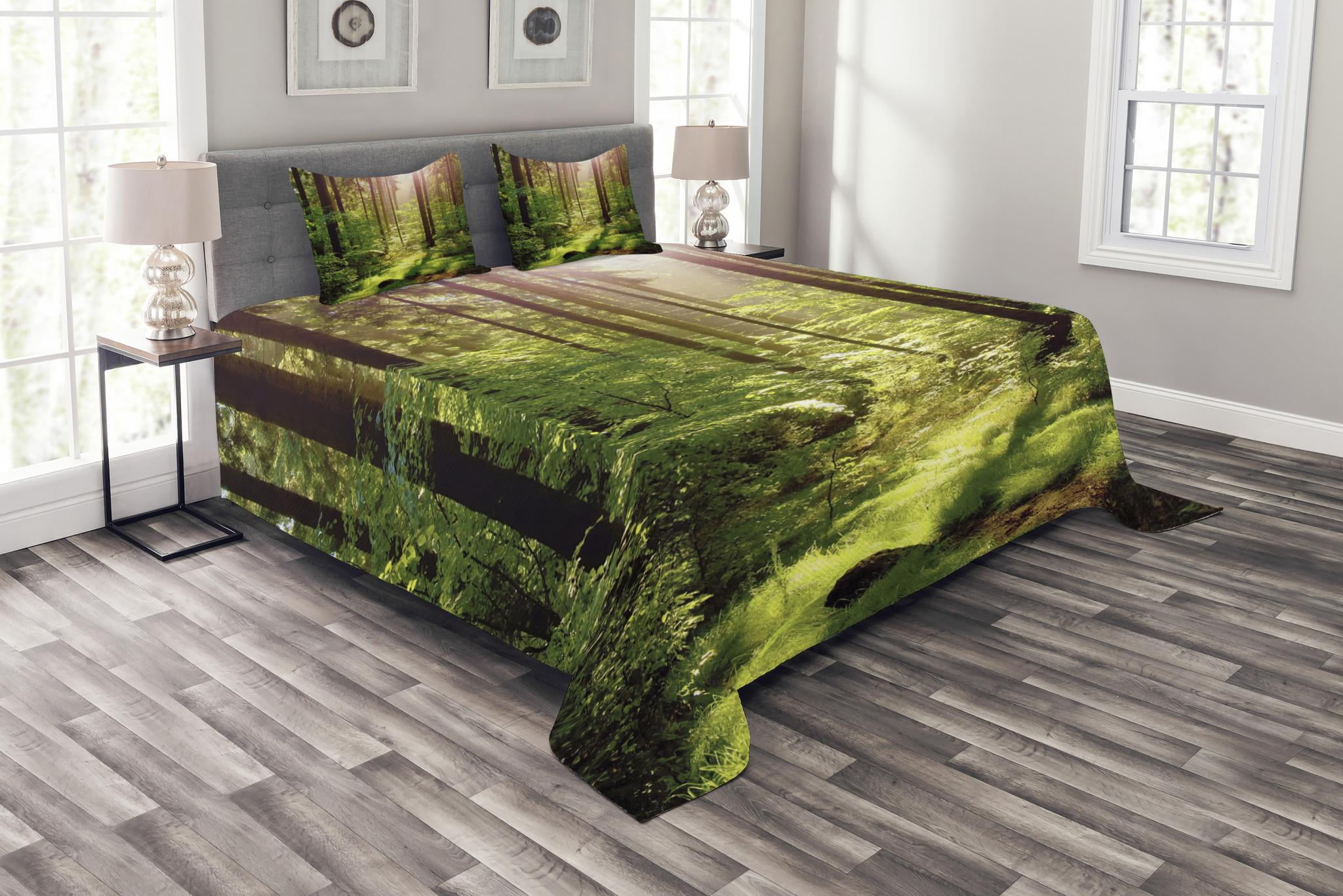 Forest Bedspread Set Queen Size, Forest in Spring Time Sunset Moss