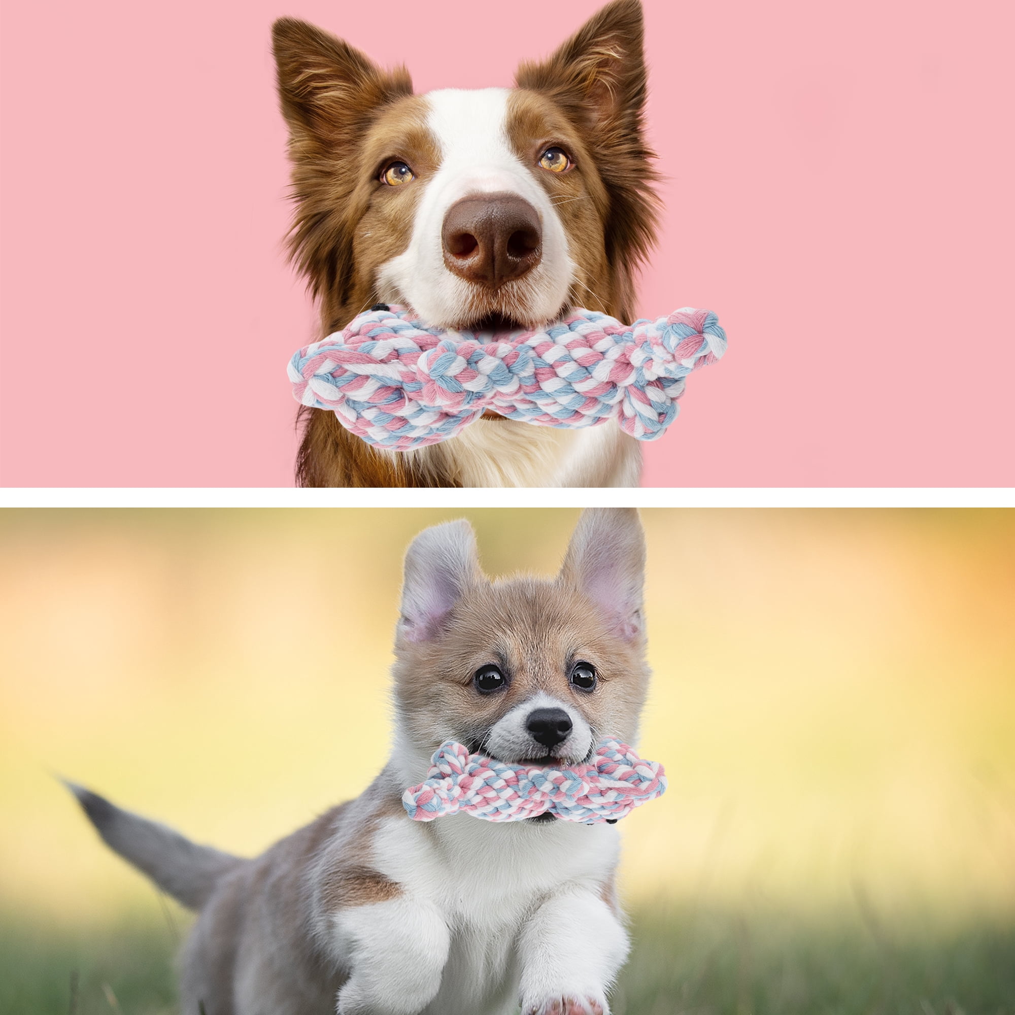 Unique Bargains Puppy Teethings Chewer Bear Shape Dog Chew Rope Braided Cotton Teeth Cleaning Rope Assorted Color Bear Shape Assorted Color 2 Pcs
