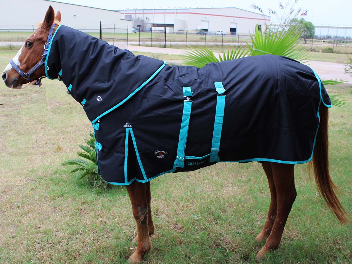 74" 1200D Turnout Waterproof Horse Heavy WINTER BLANKET Neck Cover