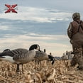 thumbnail image 7 of Avian X AXP Honkers Full Body Realistic Canada Goose Decoys Feeders Pack, 7 of 7
