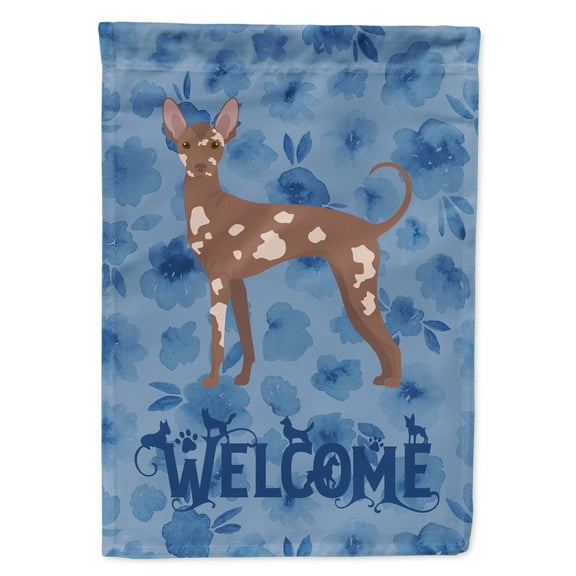 Carolines Treasures CK6021CHF Mexican Hairless Dog 2 Welcome Flag Canvas House Size Large multicolor
