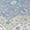 Denim, variant on Addison Rugs Chantille Indoor/Outdoor Traditional Aloe Machine Washable Rectangle Rug, 10' x 14'