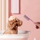 thumbnail image 3 of Peine para el cuidado de mascotas: Peine de cola de rata para pelo de gato y perro, peine flotante para depilación y desenredado de gatos y perros., 3 of 8