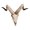 D 42x34x16cm, variant on Long Horned Decor Skull Halloween Decoration Wall Decor Skull Decor Skull Figurines Crafts Head For Holiday Bedroom .5x32x12cm