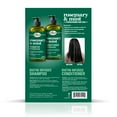 thumbnail image 2 of Difeel Rosemary and Mint Hair Strengthening Shampoo and Conditioner with Biotin 33.8 oz. 2-PC Hair Care Gift Set, 2 of 9