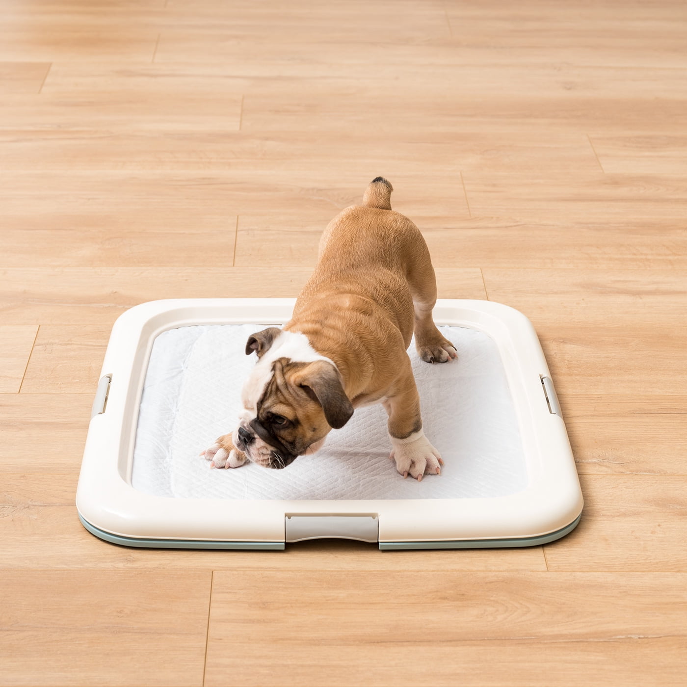 IRIS Puppy Pee Pad Holder for Dog Potty Training, Holds Pads 23" L x 22.75" W x 1.37" H, Blue