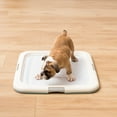 thumbnail image 4 of IRIS Puppy Pee Pad Holder for Dog Potty Training, Holds Pads 23" L x 22.75" W x 1.37" H, Blue, 4 of 8