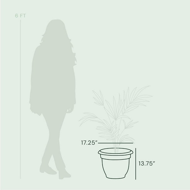 Bloem 14 in. H X 18 in. W X 18 in. D Resin Ariana Planter Misty Blue Bloem 14 in. H X 18 in. W X 18 in. D Resin Ariana Planter Misty Blue