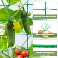 thumbnail image 3 of ZULAR Climbing Garden Trellis - Heavy Duty Garden Netting for Climbing Plants - Trellis Netting for Cucumbers,Vines,Fruits,Durable Nylon Plant Support Trellis - Easy to Install/5.9x16.5 FT （2PCS）, 3 of 4