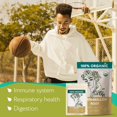 thumbnail image 3 of Marshmallow Root Tea (Althea Officinalis) – Organic Marshmallow Root - 4oz, 3 of 6