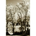 thumbnail image 3 of Hausenflock, Alan 13x18 Black Modern Framed Museum Art Print Titled - Autumn Meadow I, 3 of 5