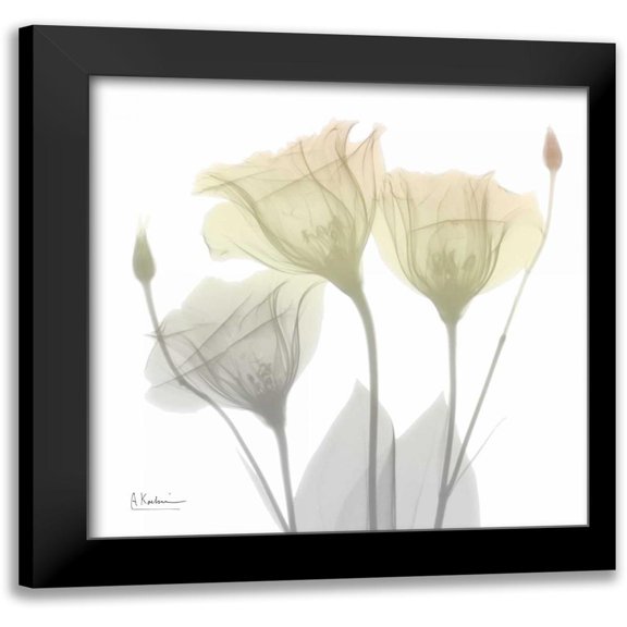 Koetsier, Albert 12x12 Black Modern Framed Museum Art Print Titled - Sunday Morning Gentian