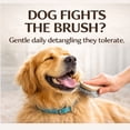 thumbnail image 3 of Coconut Coast Doggie Detangler Spray, 6 oz – Leave-In Dog Grooming Spray for Tangles & Mats, Coat Shine & Softness, Gentle Daily Use for All Breeds, 3 of 8