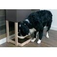 thumbnail image 4 of Parlor Pet Feeder Station, Gray, 4 of 5