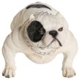 thumbnail image 2 of Petorama Handmade American Bully Exotic Resin Statue 1-4 in Beige, 2 of 8