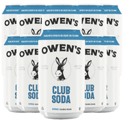 Owen’s Craft Mixers Club Soda HandA with Premium Ingredients Vegan & Gluten-Free Soda Mocktail and Cocktail Mixer