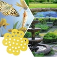 thumbnail image 4 of 1pcs Bee Watering Station Floating Bee Watering Station Bee Waterer for Garden Pollinator Watering Station Butterfly Feeder Honey Bee Watering Station Garden Decor, 4 of 9