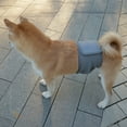 thumbnail image 4 of Male Dog Diapers, High Absorbing Dog Belly Bands for Male Dogs, Washable Reusable Dog Males Wraps, 4 of 9