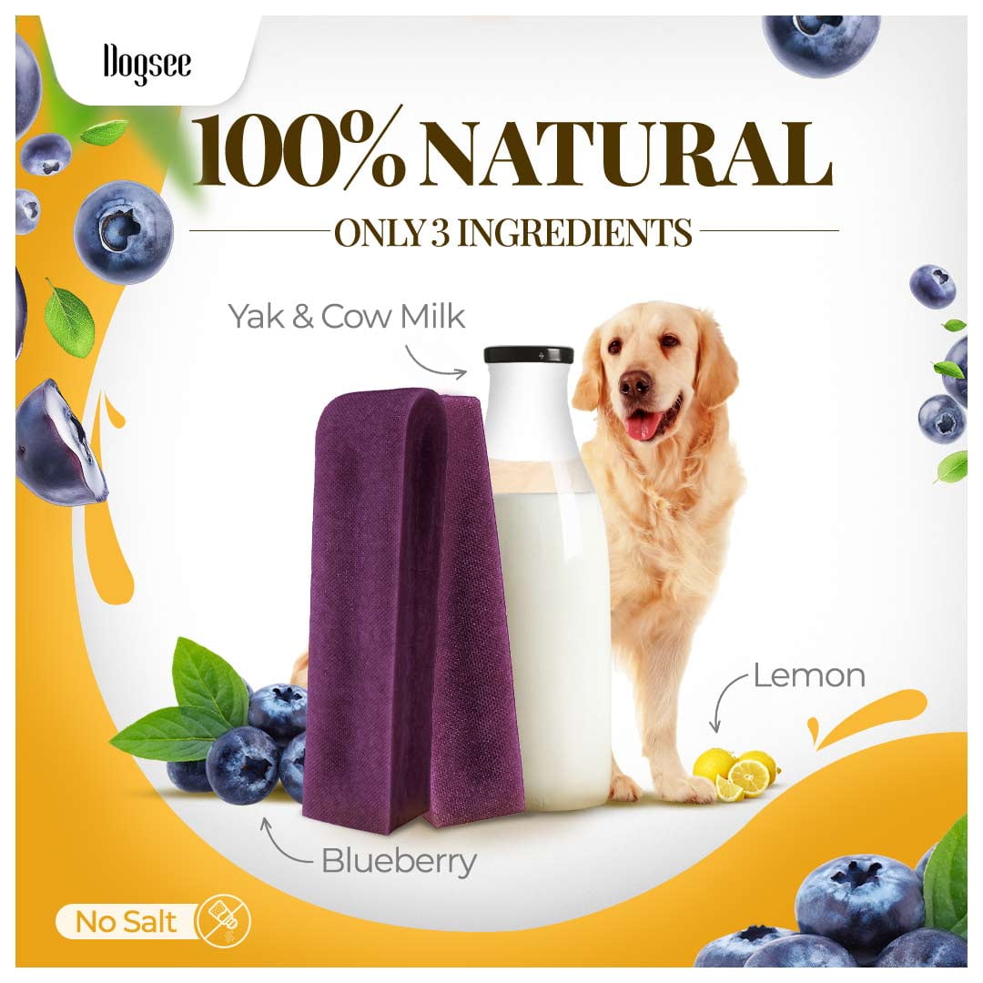 Dogsee Blueberry Flavor Himalayan Yak Cheese Dental Chews for Dogs - (Medium 6)| Dog Treats Healthy | Cleans Teeth & Freshens Breath | No Grain, No Gluten | Dog Chews Rawhide Free