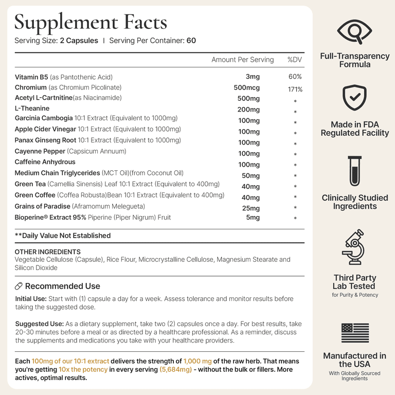 l carnitine effervescent DR.T L-Carnitine 500 mg with Green Tea Extract