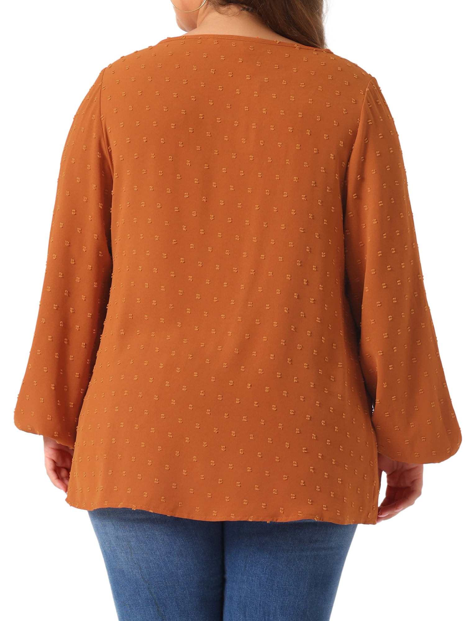 DARING DIVA Women's Plus Crewneck Chiffon Swiss Dots Shirts Top 1X Caramel
