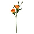 thumbnail image 1 of Vickerman 16" Orange Peony Spray 6/Pk - FV190754, 1 of 3
