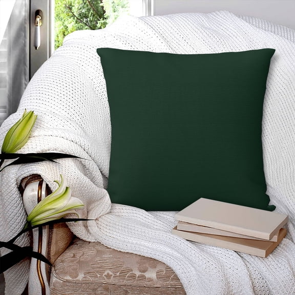 Velvet Decorative Throw Pillow Covers Cushion Cover Pillow Case for Sofa Couch Bed Chair ,Soft Square Dark Green Throw Pillows 18x18 Inch