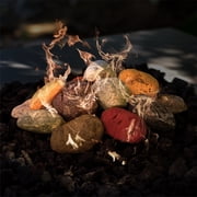 Ceramic Pebbles | Fireproof Ceramic Decor | River Rock, Set of 9