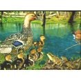 thumbnail image 1 of Duck Wallpaper Border B2003NF, 1 of 1