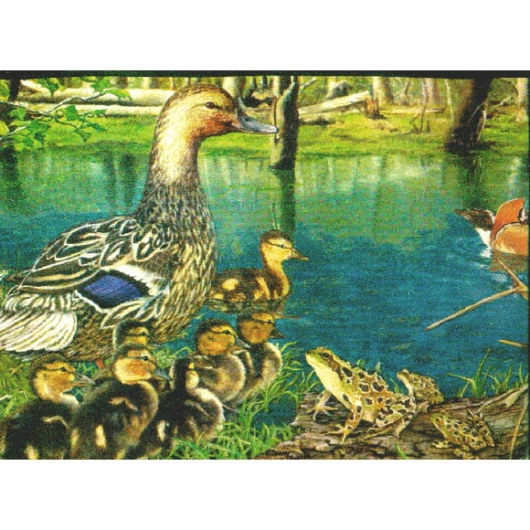Duck Wallpaper Border B2003NF