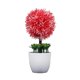thumbnail image 1 of Planta artificial en maceta, simulación de bolas, vegetación, decoración, oficina en casa, centro de mesa, planta falsa, rojo Methold HA7629-05B, 1 of 6