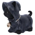 thumbnail image 4 of Halloween Cat Cape Statue, Cat Skull Pendant Statue, Cat Statue, Halloween Home Desktop Decoration, 4 of 5