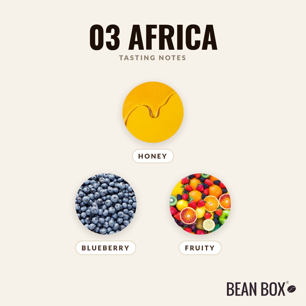 03 AFRICA - Roasted by Coffee Manufactory - Whole Bean Coffee - 12oz Bag