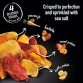 thumbnail image 5 of TERRA Original Sea Salt Vegetable Snack Chips, 6.8 oz, 5 of 9