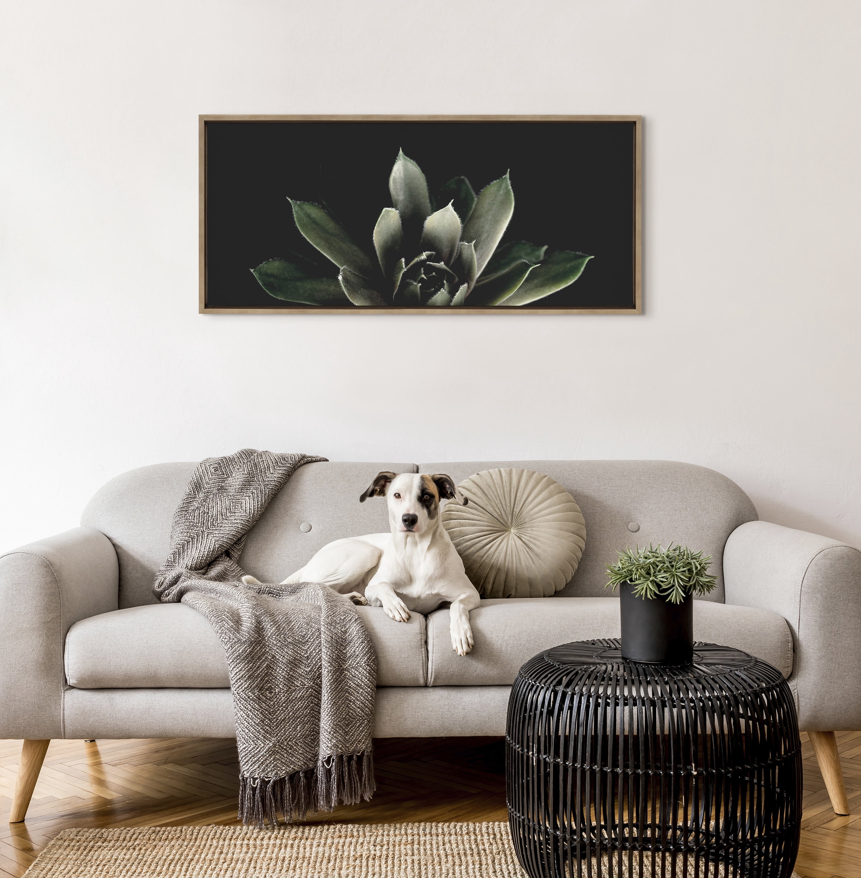 Kate and Laurel Sylvie Succulent 8 Framed Canvas Wall Art by Emiko and Mark Franzen of F2Images 18x40 Gold Decorative Botanical Art for Wall