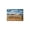 Color 5, variant on Wipe Your Paws Pattern Soft Small Velvet Area Rugs Non Slip Indoor Floor Carpet for Living Room Bedroom Decor