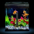 thumbnail image 3 of Water Temperature Strip Liquid Crystal Fish Tanks Home Use 10 Sheets 5.2X0.7X0.04In, 3 of 5