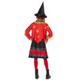 thumbnail image 2 of Disfraz Spirit Halloween para niños Dani Dennison Hocus Pocus L, 2 of 4