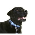 thumbnail image 3 of DOOG - Soft Neoprene & Nylon Webbing Padded Adjustable Dog Collar - PLUTO (Blue & Green Hills), 3 of 4