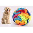 thumbnail image 1 of Snuffle Ball Ablechien para perros grandes, arcoíris, 20 cm, 1 of 1