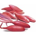 thumbnail image 2 of GSDWIUEW Seeds Shallot Onion Banana Red Long Tropic Vegetable Heirloom for Planting, 2 of 8