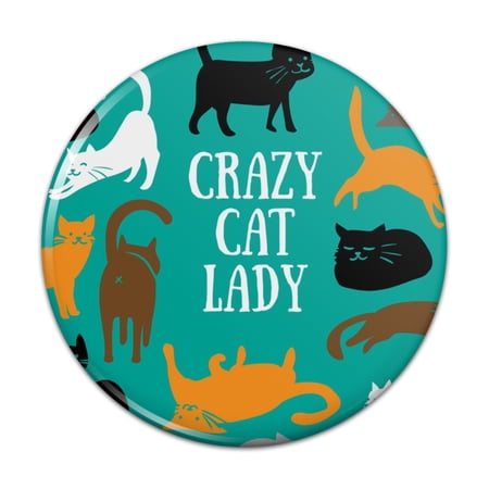 Crazy Cat Lady Teal Orange Black Brown Pinback Button Pin Badge - 3" Diameter