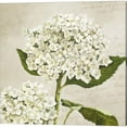 thumbnail image 3 of Hydrangeas Neutre by Remy Dellal Canvas Art Set of 2 14 inch X 14 inch Each, 3 of 4