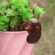 thumbnail image 1 of Figuras colgantes de planta Decoración de paisajes Bonsai Craft Flowerpot Hangger colgante Hipopótamo, 1 of 8