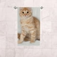 thumbnail image 4 of Soft Hand Fingertip Towels, 2 Pcs Face Bath Towels Red Fluffy Sitting Kitten Absorbent Washcloths for Bathroom Hotel Kitchen, 30"x15", 4 of 6