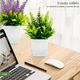 thumbnail image 3 of Plantas Artificiales Decorativas con Macetas, 4 pzs, COLORES, 3 of 5